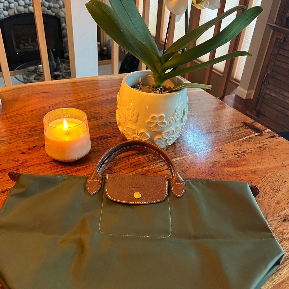 Longchamp Green and Brown Tote Bag